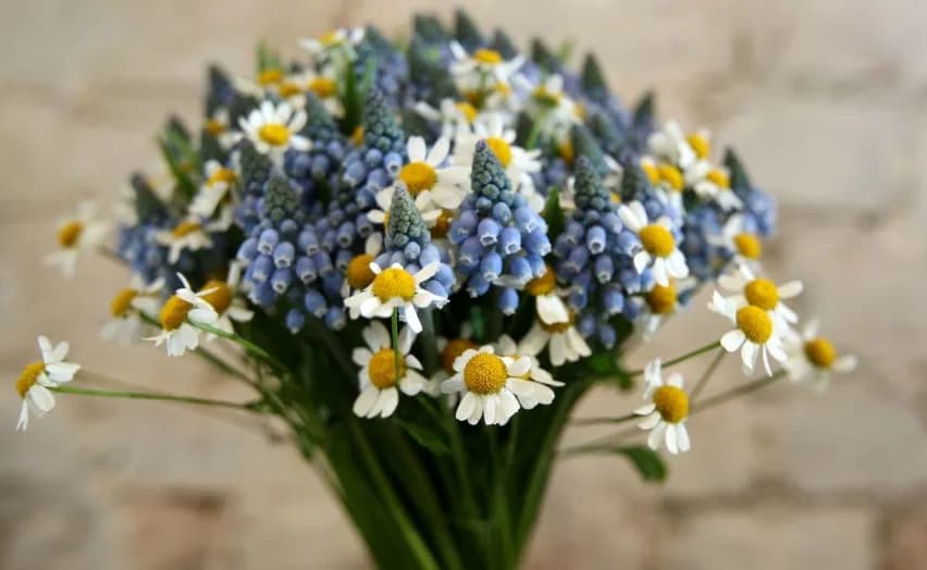 Na której randce kwiaty? Sprawdź, kiedy to najlepszy moment